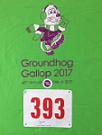 2017 Groundhog Gallop in Jackson Michigan.  2017 Groundhog Gallop in Jackson Michigan